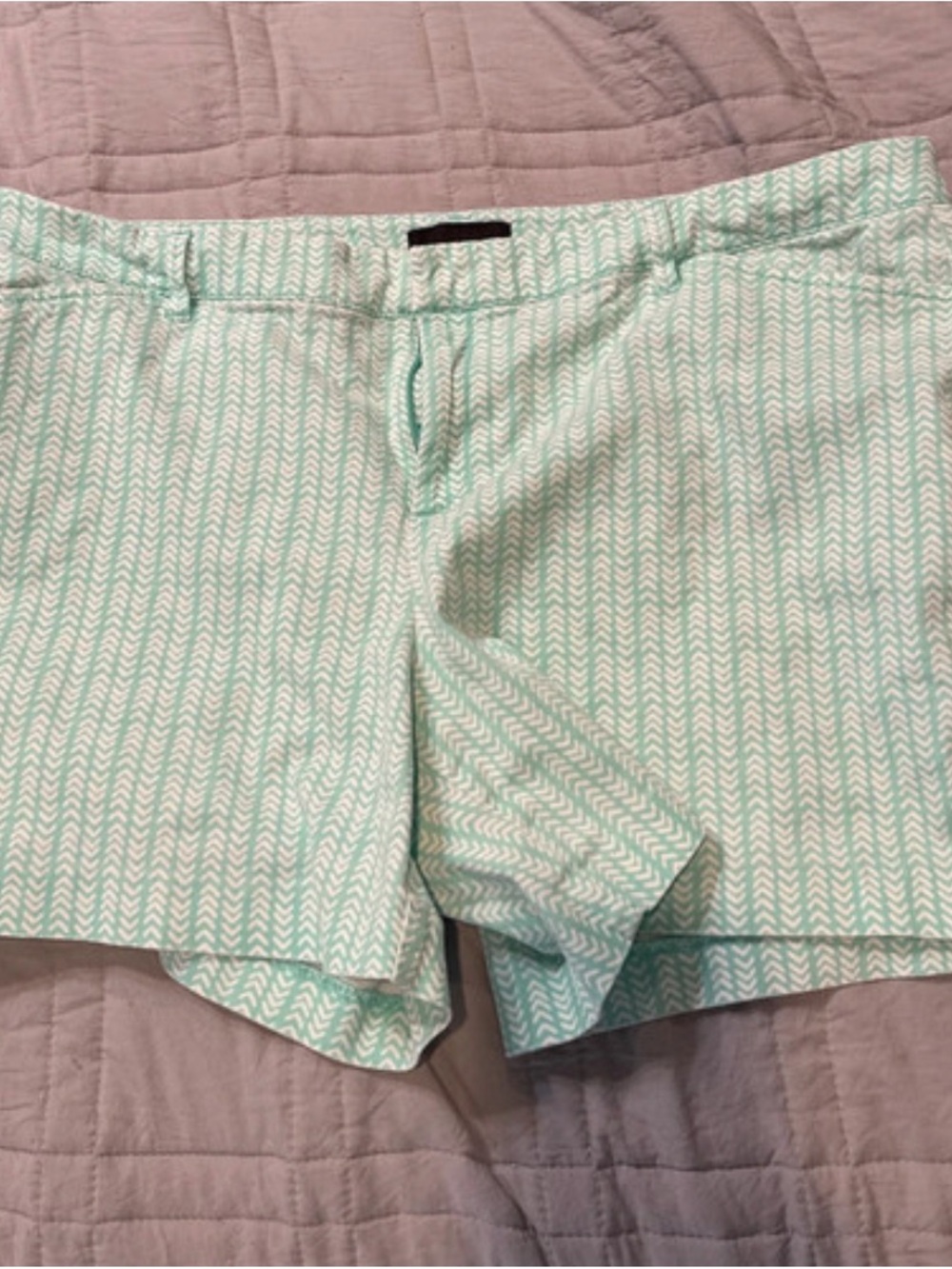 attention Mint Chevron Print Bermuda Shorts